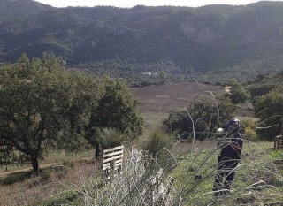 Al aire libre.jpg